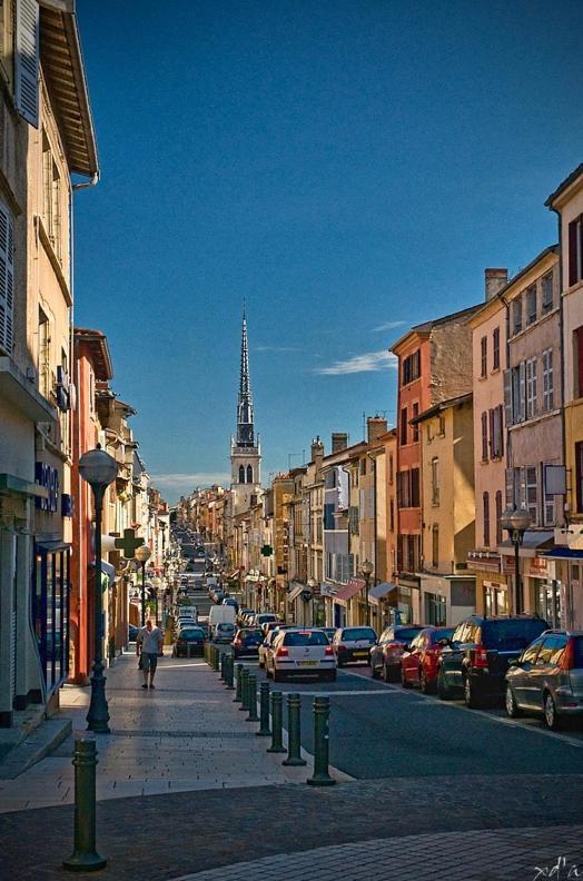 Le Cosy Shelby Proche Gare 150M Appartement Villefranche-sur-Saône Buitenkant foto